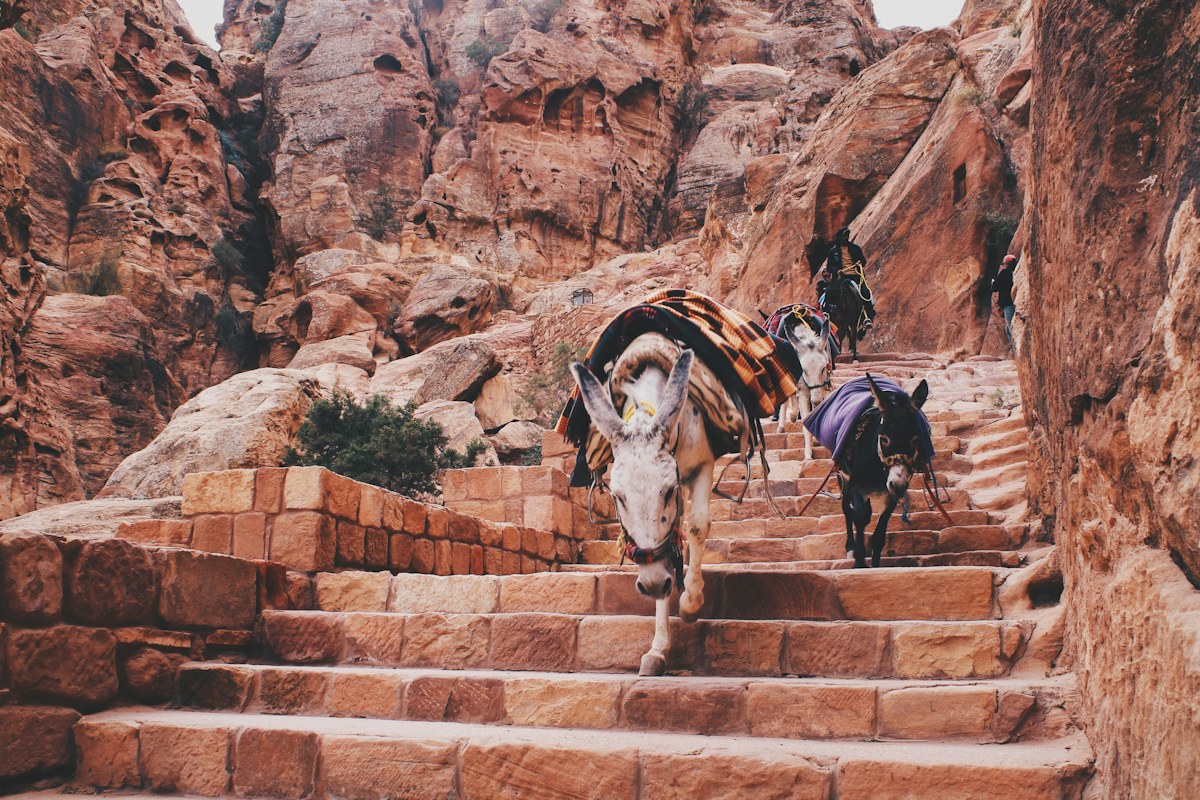 Ancient paths in Petra
